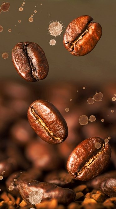 coffee_beans