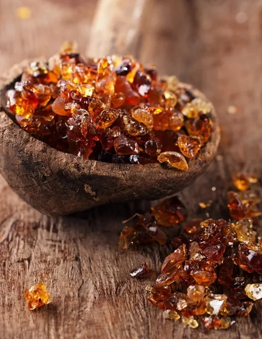 Gum Arabic